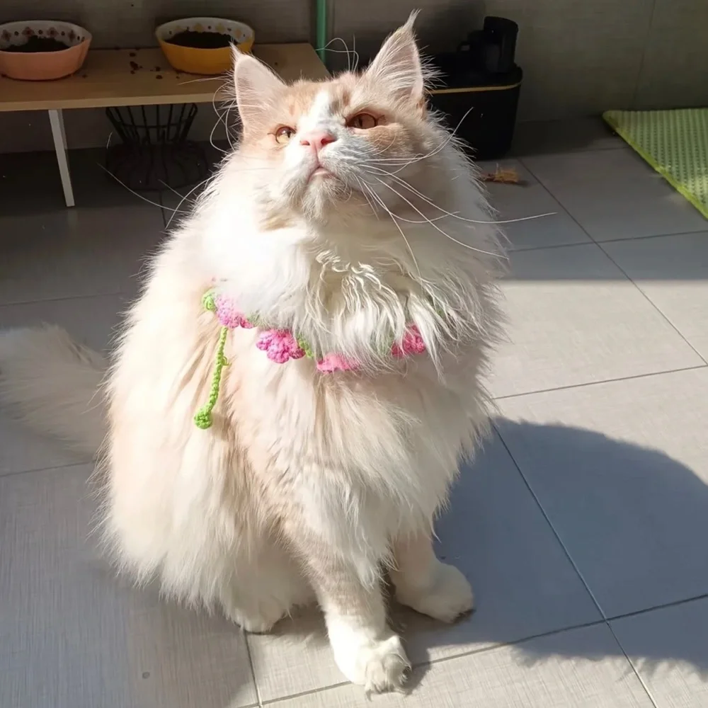 Hand Crafted adorable pink